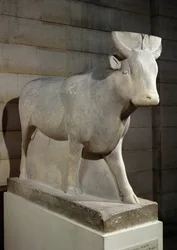 Apis Tyren, fra Serapeum, Memphis (kalksten)